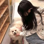 重装突击游戏果盘版下载